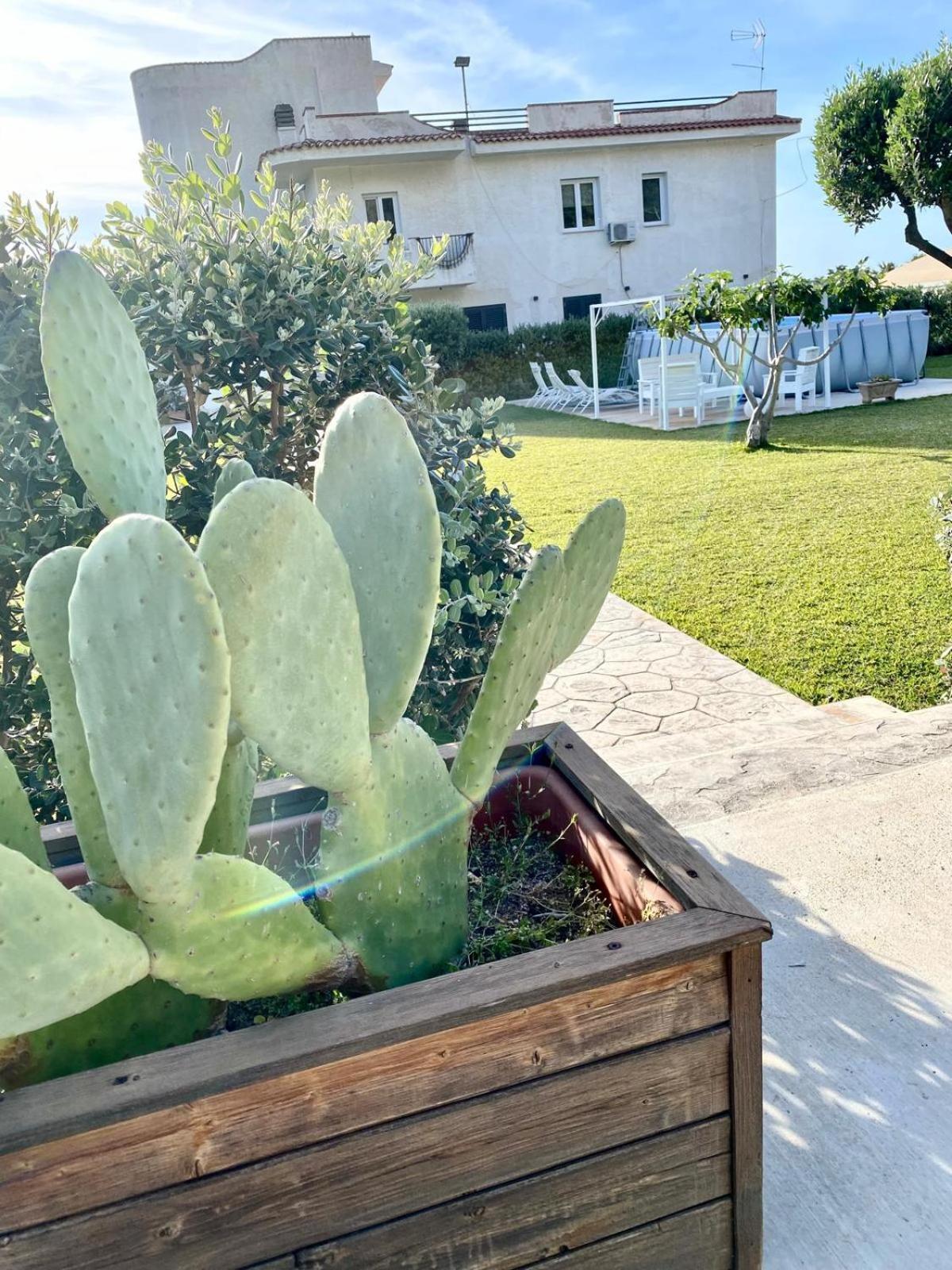 Villa Eagle Terrasini Dış mekan fotoğraf